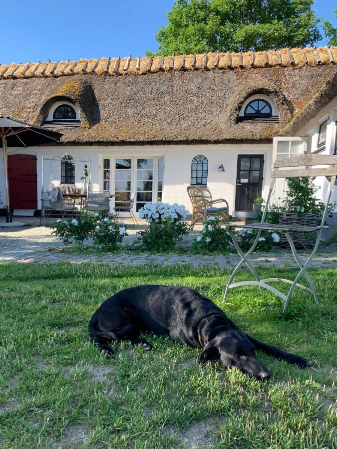 Mariegaardens Gaestehuse Хиллерёд Экстерьер фото